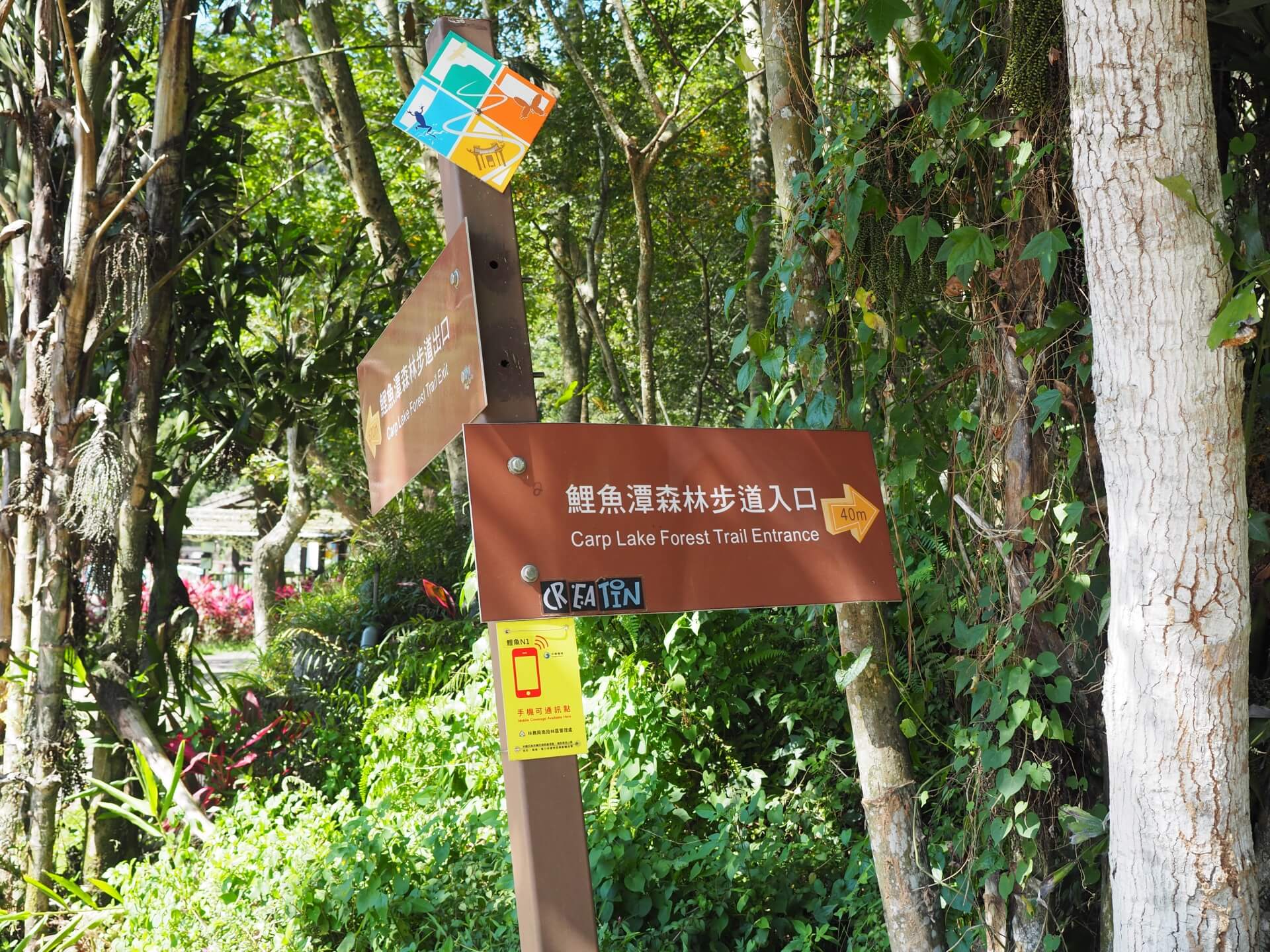 鯉魚潭森林步道