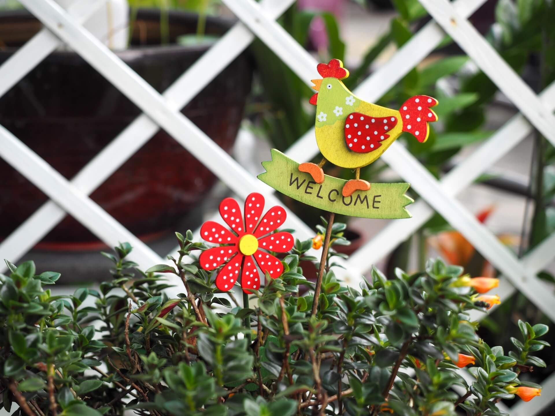 Mica 蔬食大門口