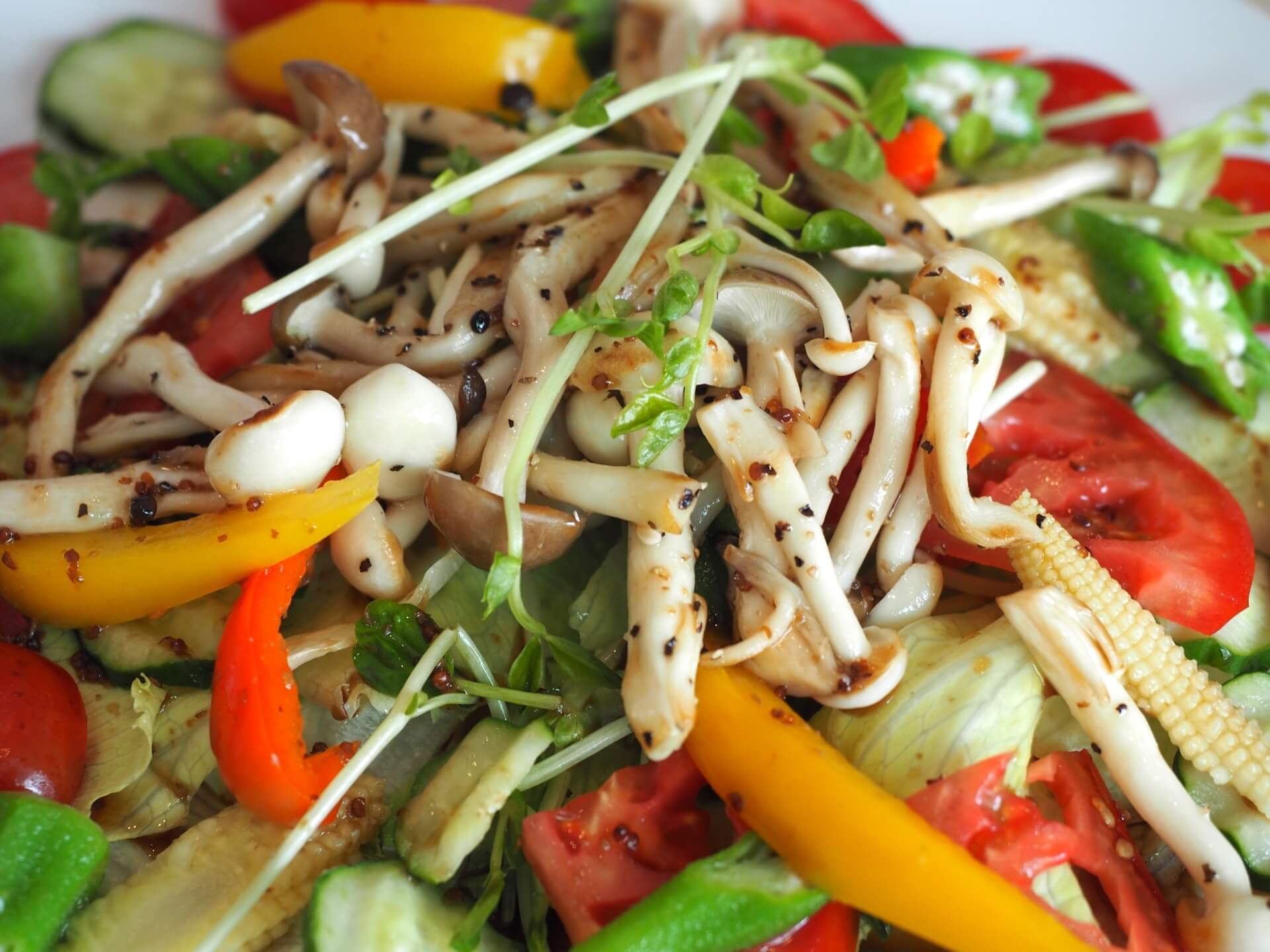 和風溫製百菇沙拉