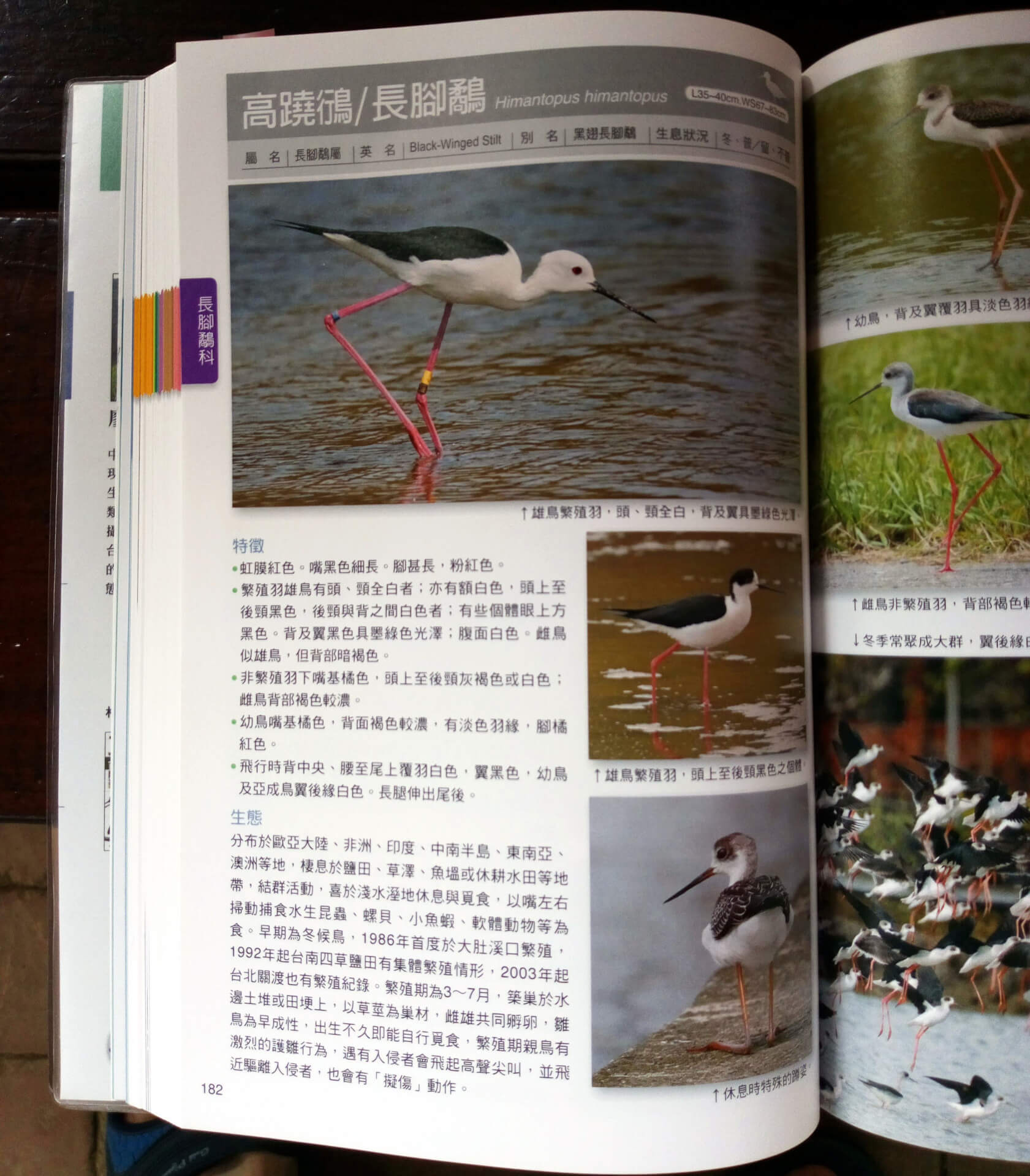 野鳥圖鑑(水鳥篇)