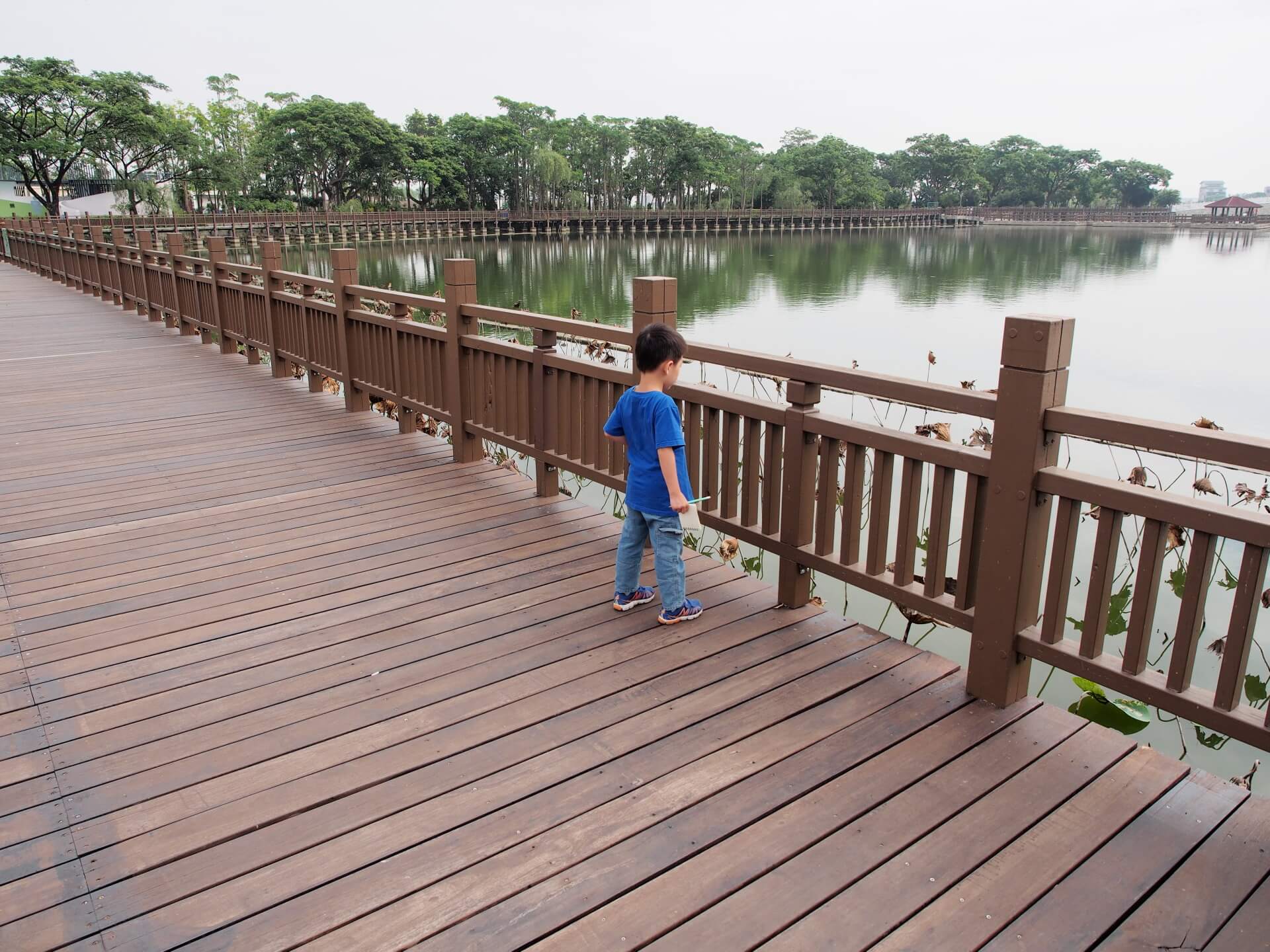 天鵝湖環保水上公園（環湖木棧道）