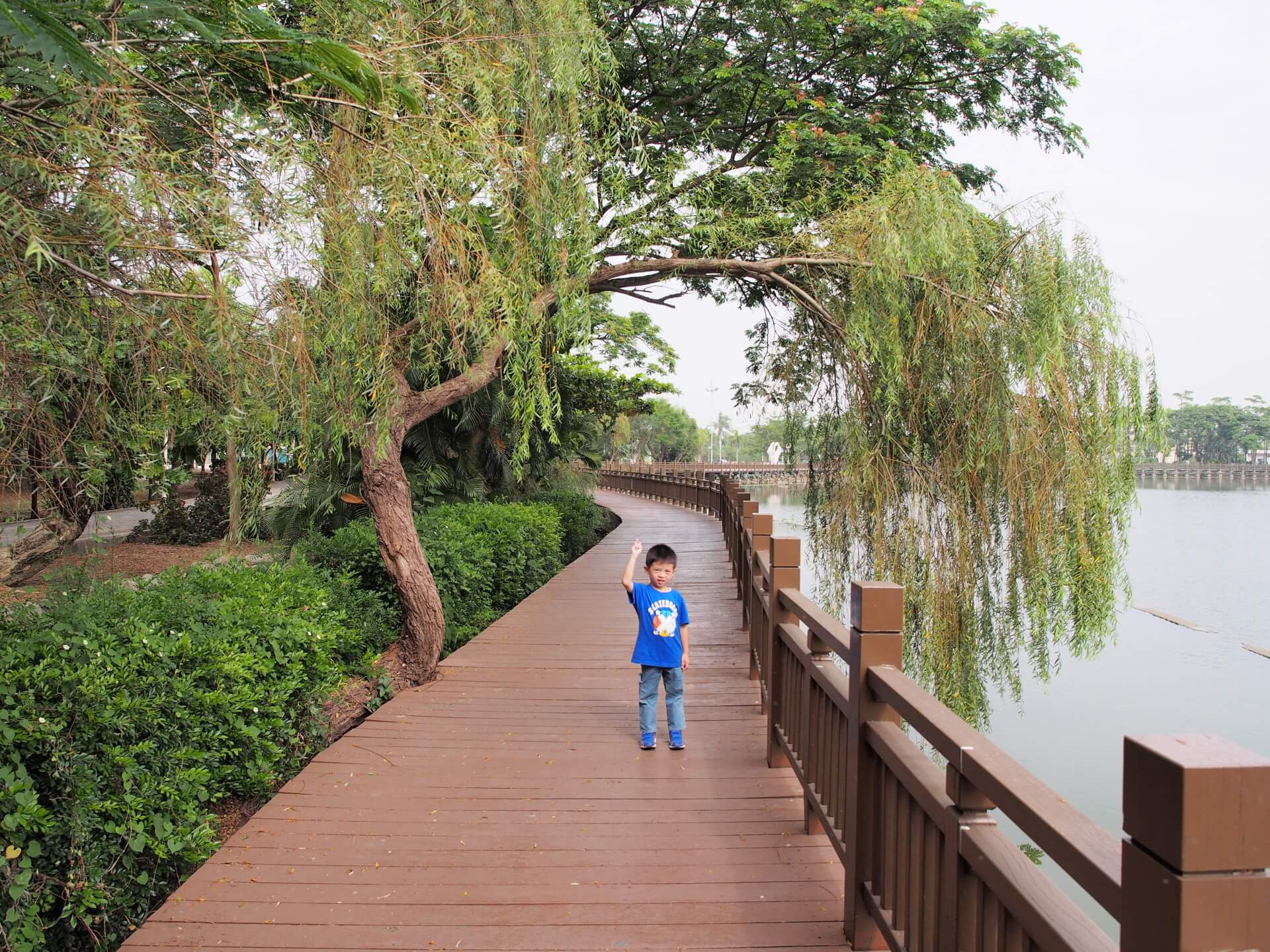 天鵝湖環保水上公園（環湖木棧道）