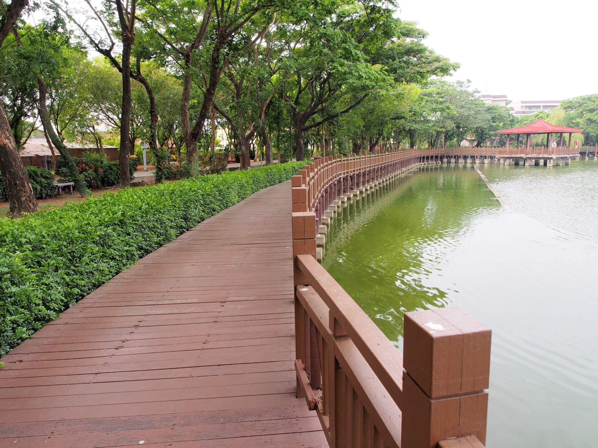 天鵝湖環保水上公園