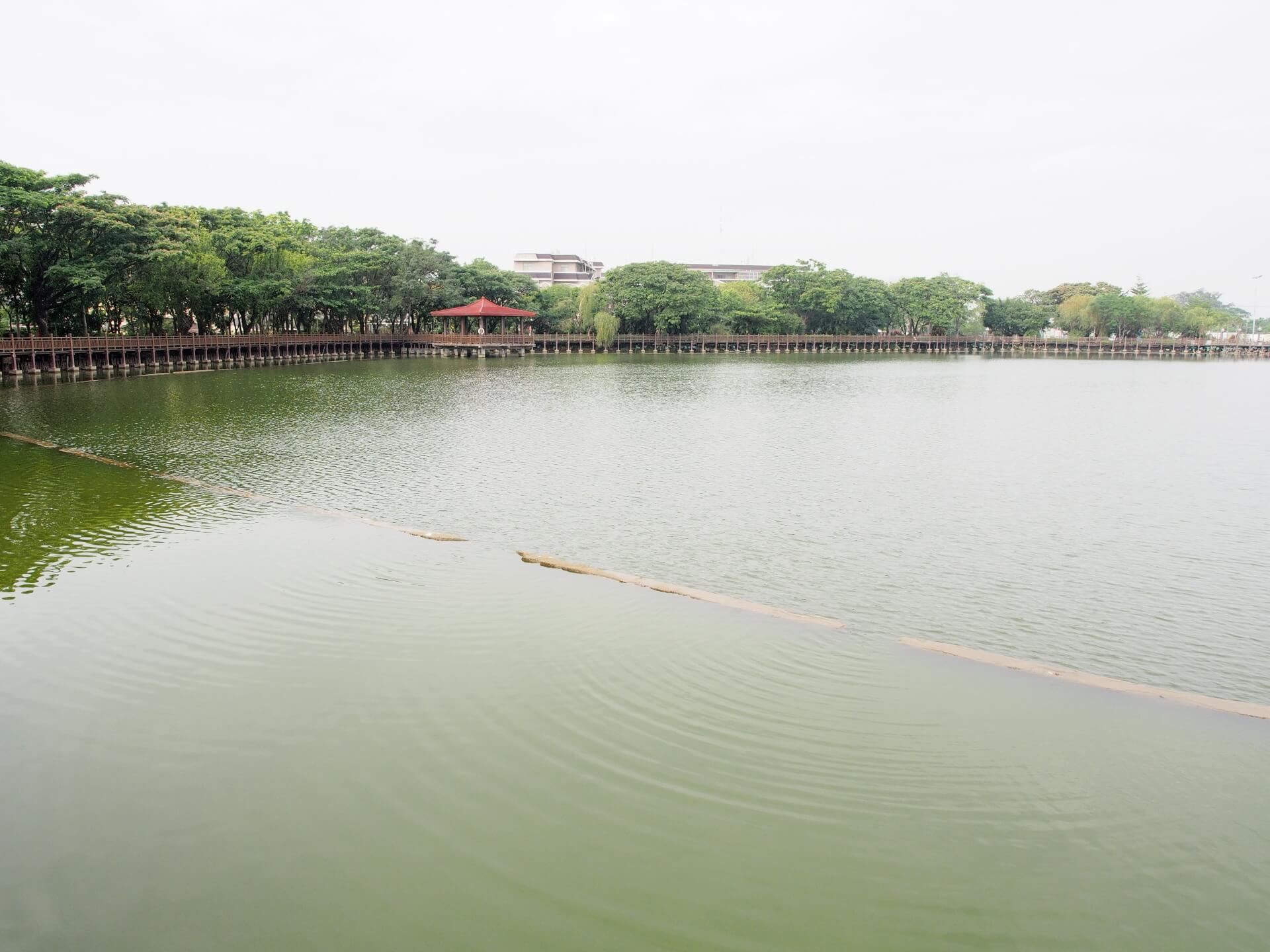 天鵝湖環保水上公園