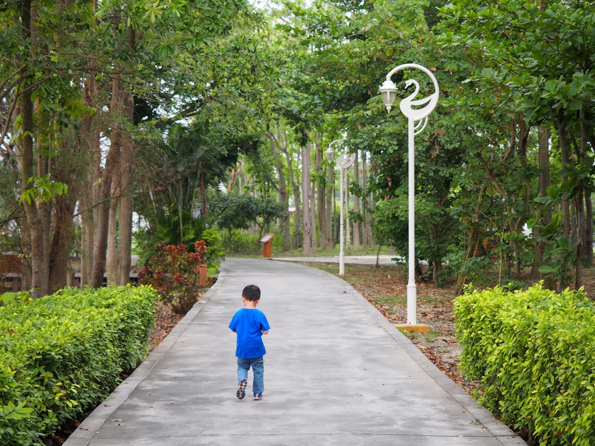 天鵝湖環保水上公園