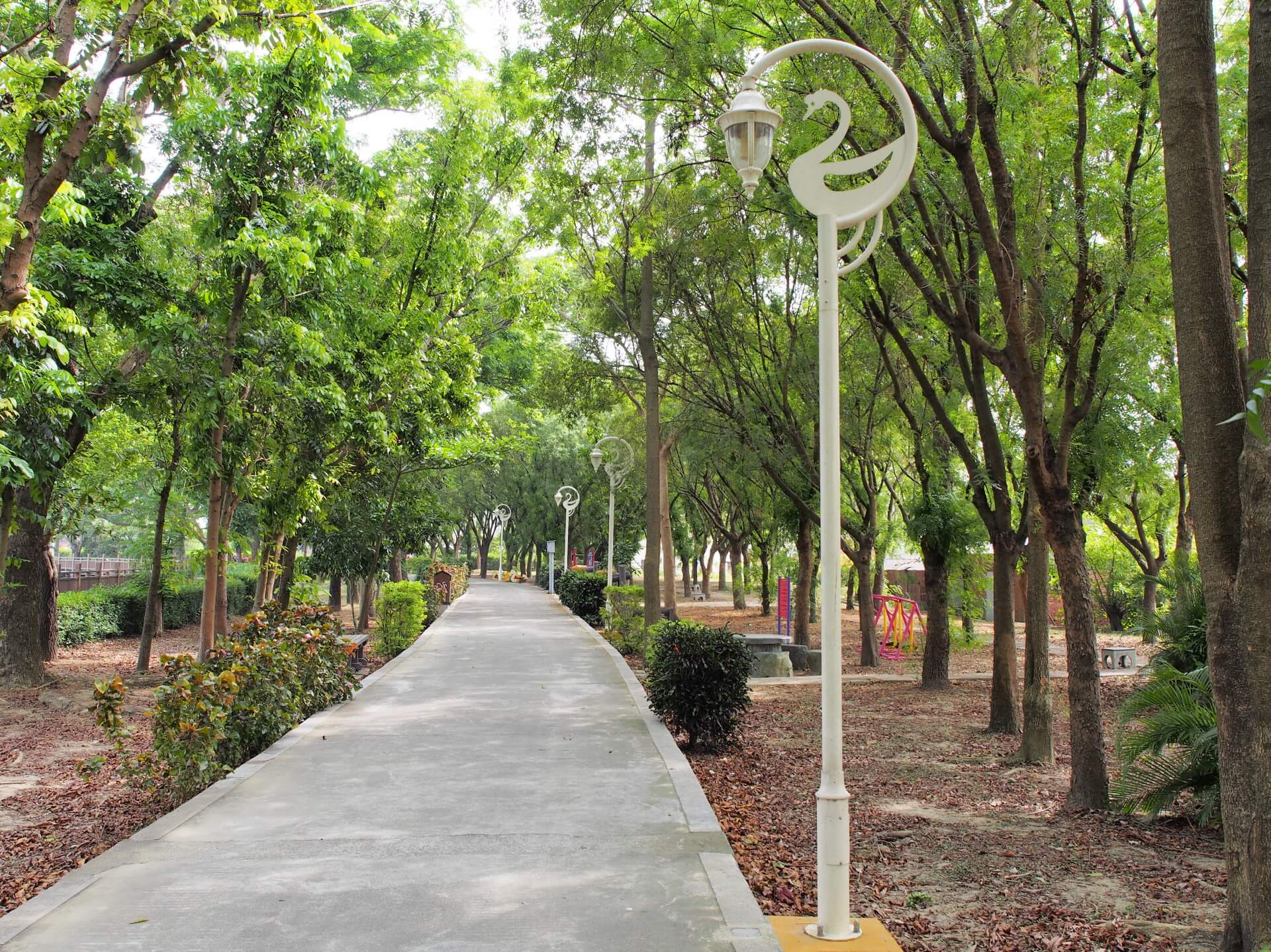 天鵝湖環保水上公園