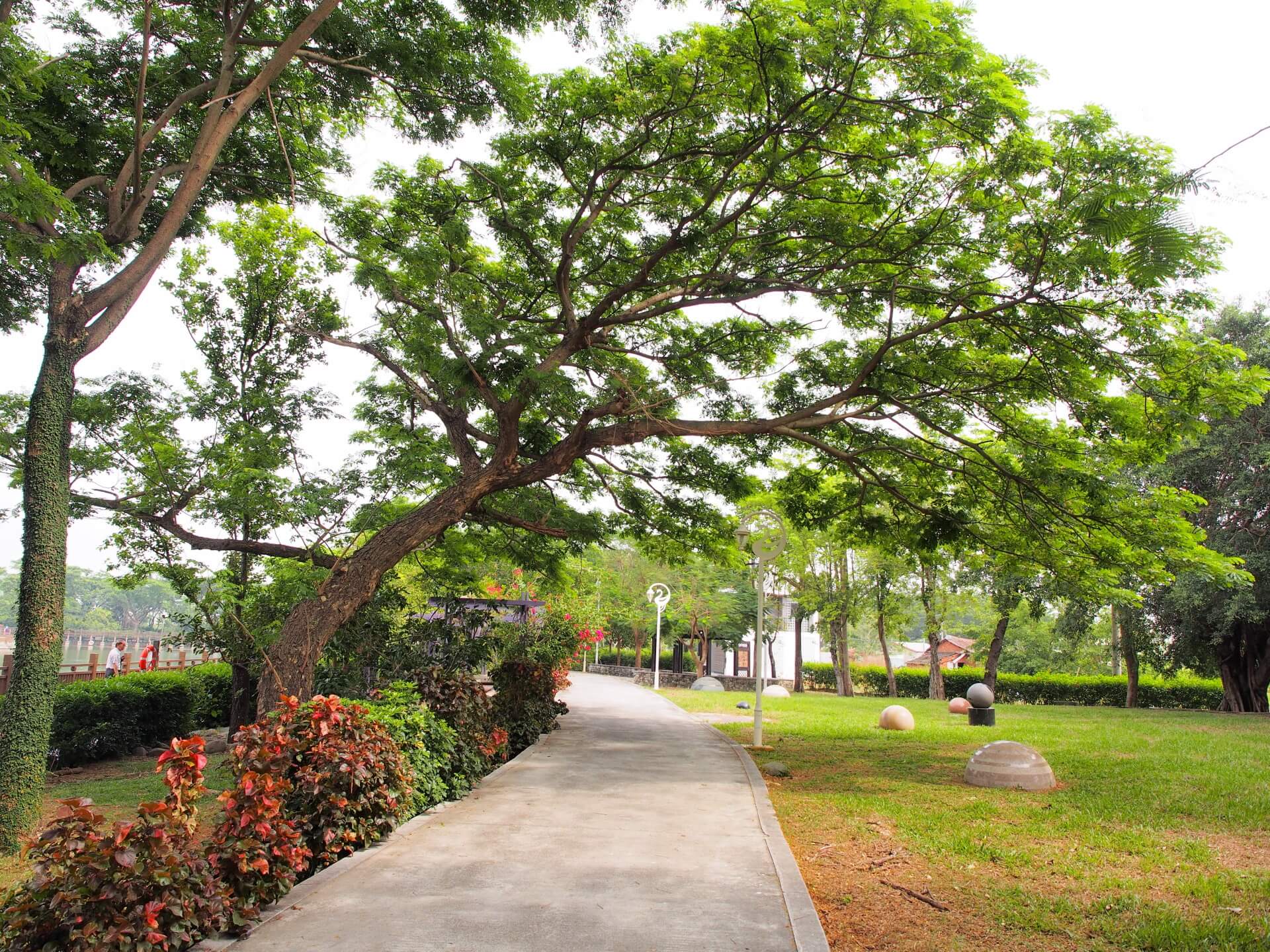天鵝湖環保水上公園