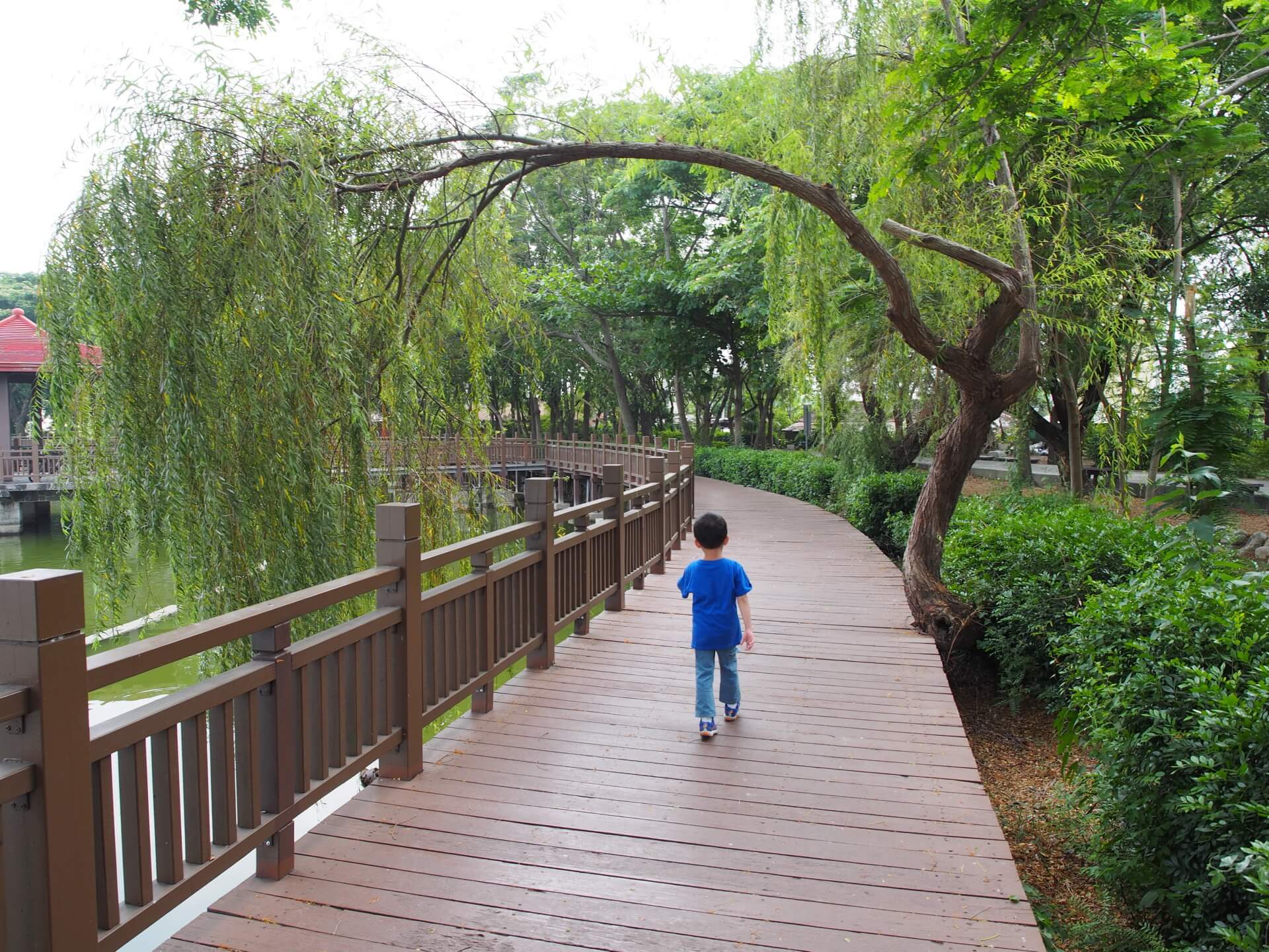 天鵝湖環保水上公園（環湖木棧道）