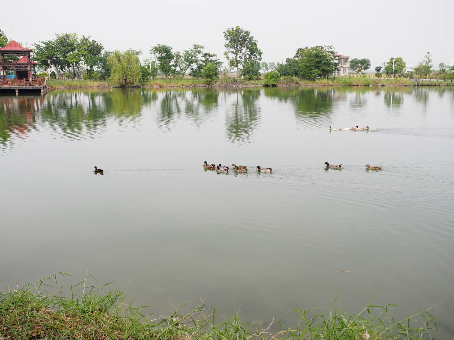 天鵝湖環保水上公園