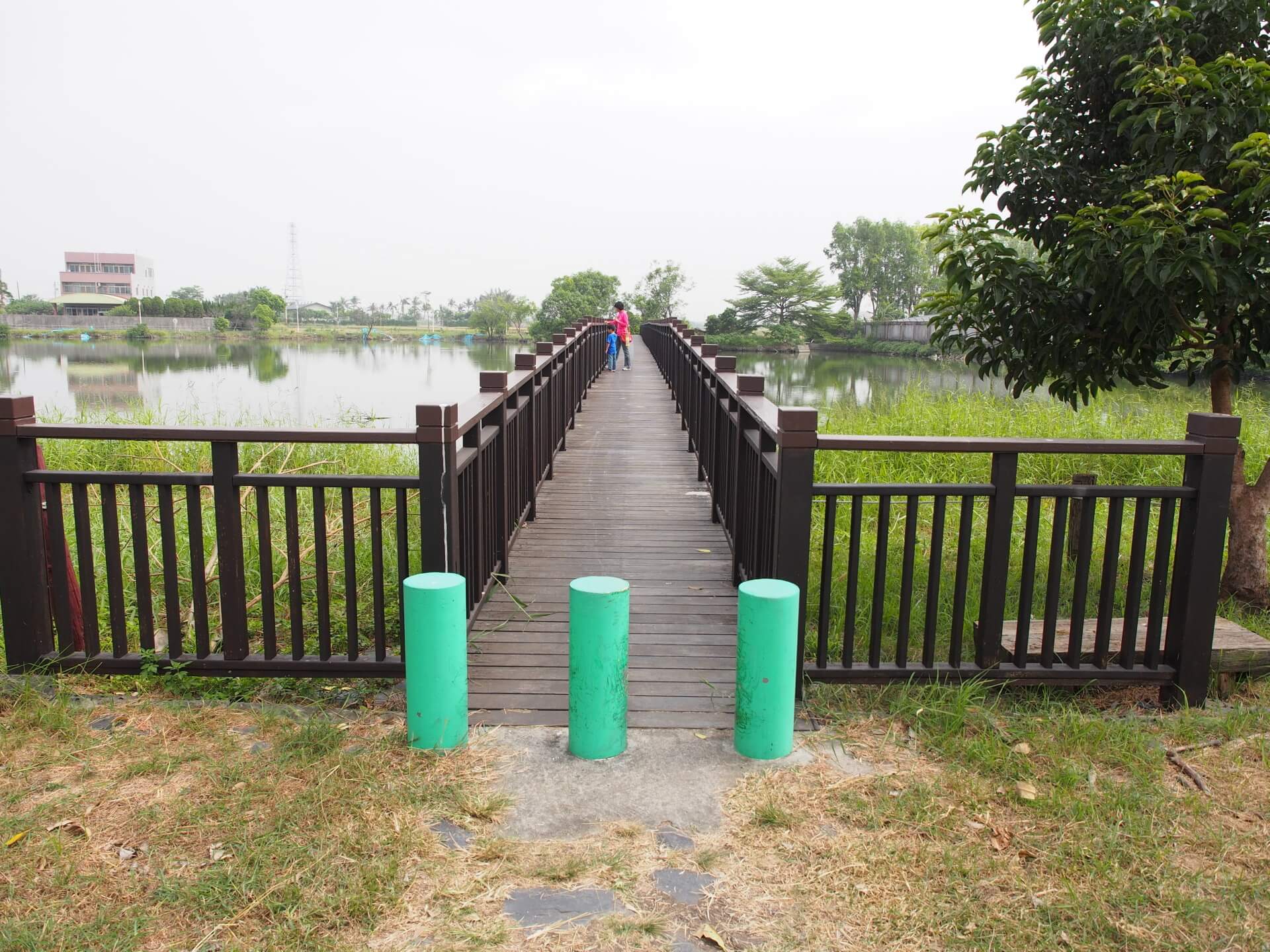 天鵝湖環保水上公園