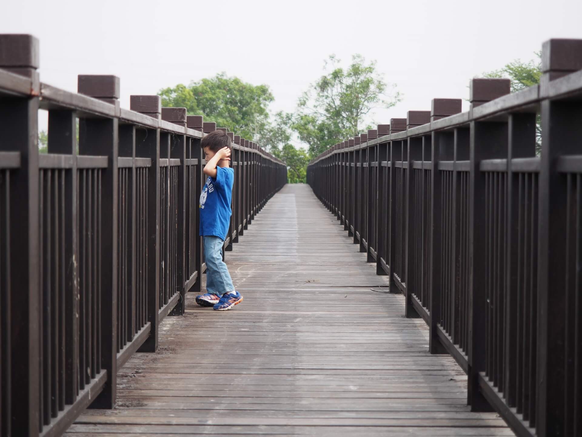 天鵝湖環保水上公園