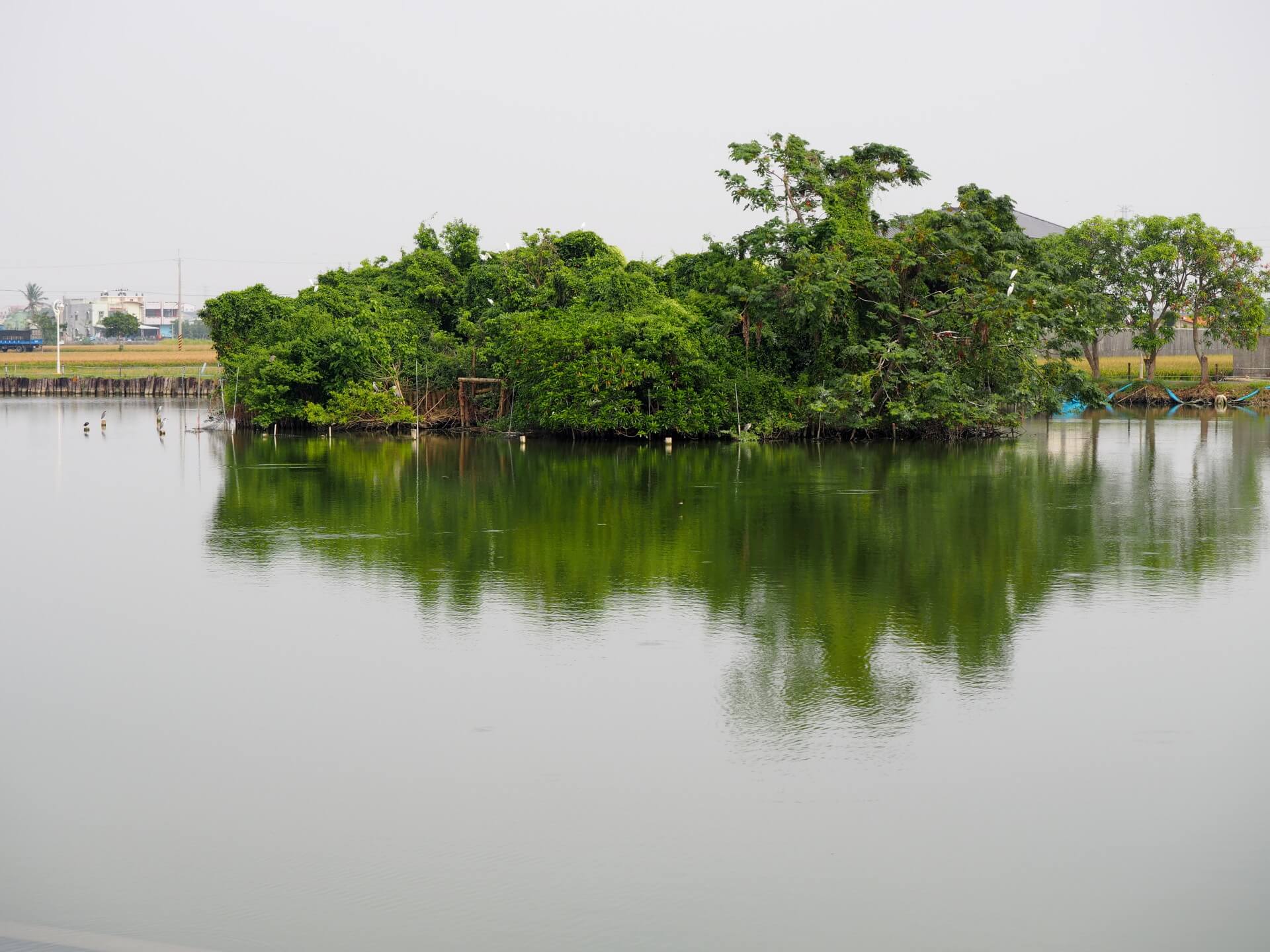 天鵝湖環保水上公園