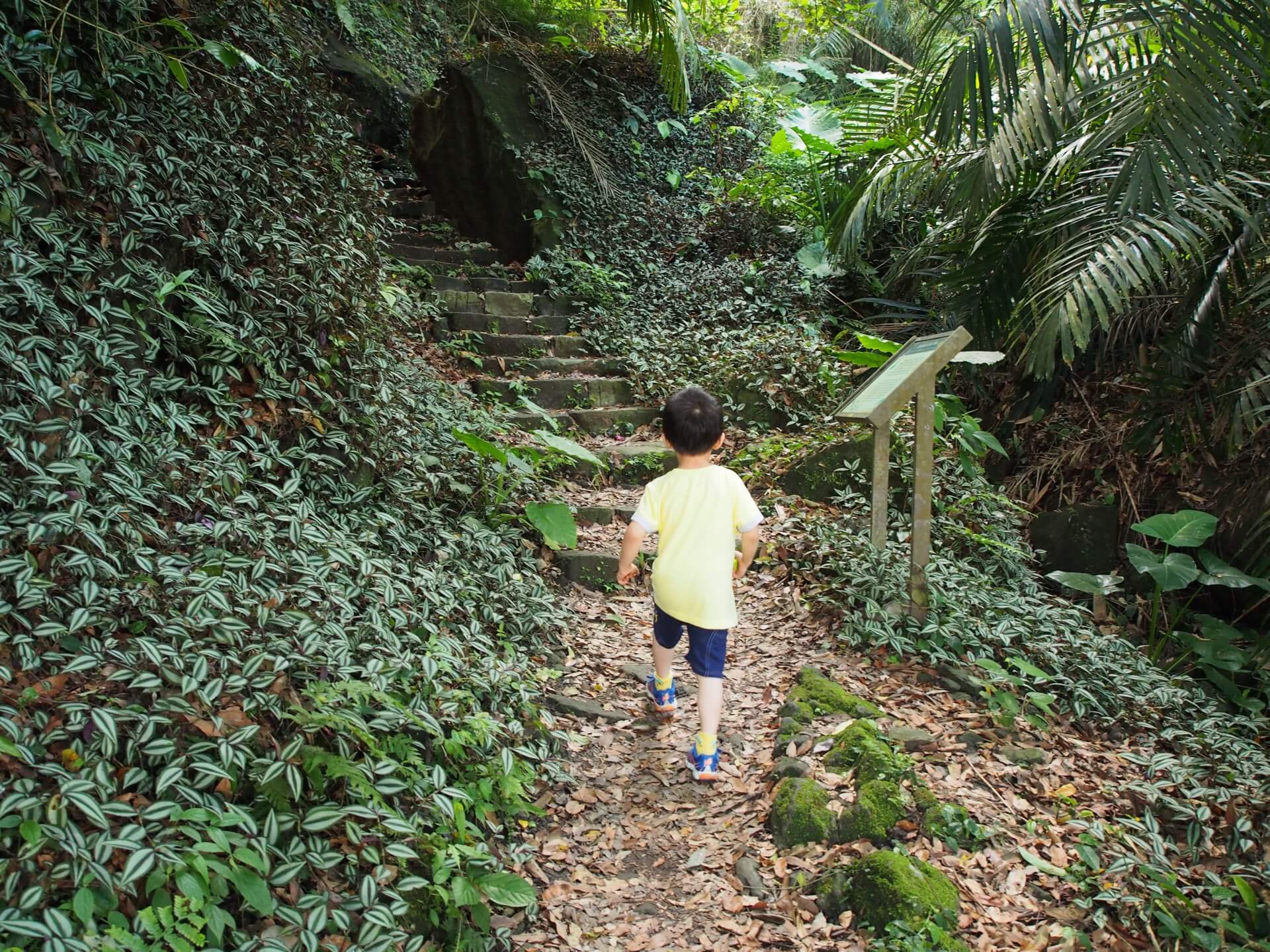 崁頭山登山步道
