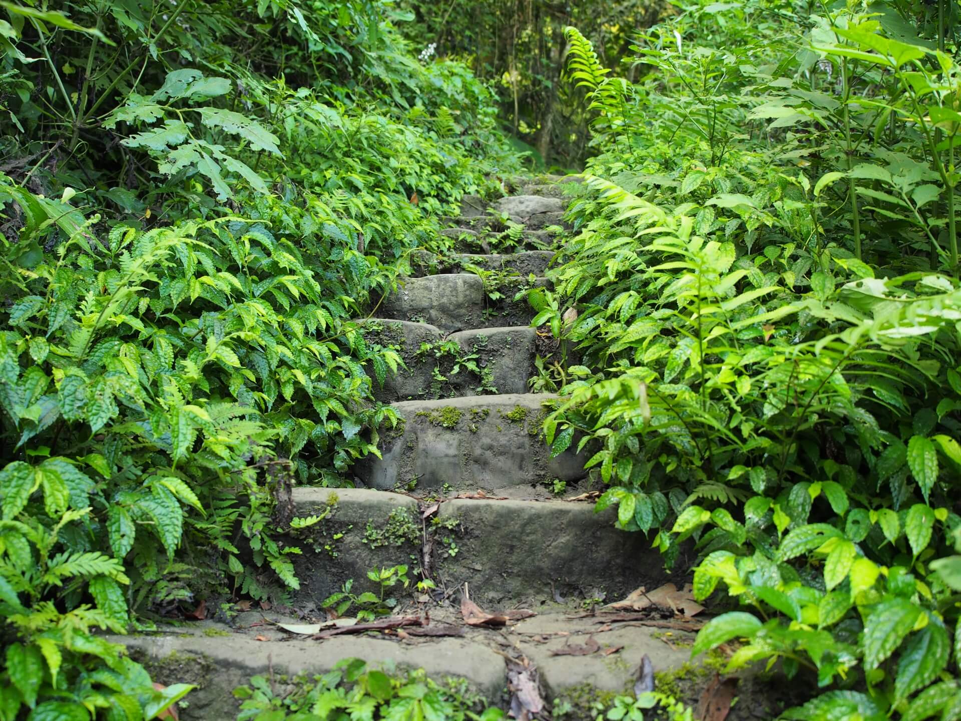 崁頭山登山步道