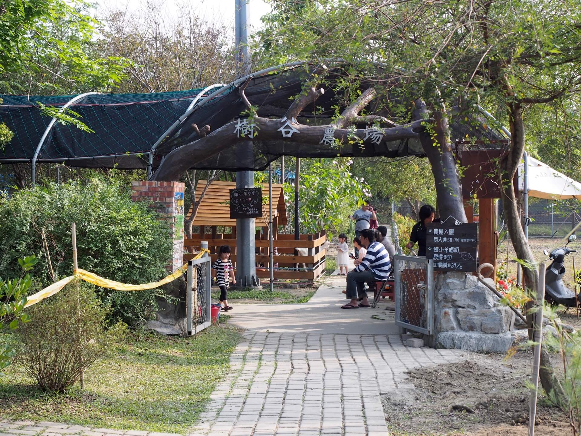 tree-valley-farm-xinshi-tainan-20161205-04