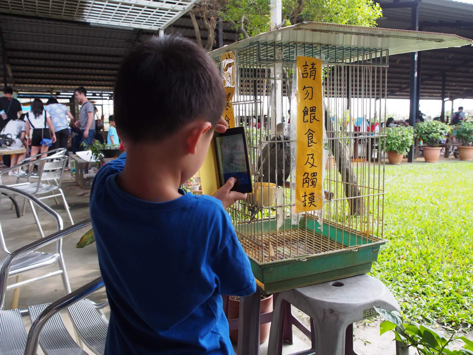 阿玄幫鸚鵡拍照