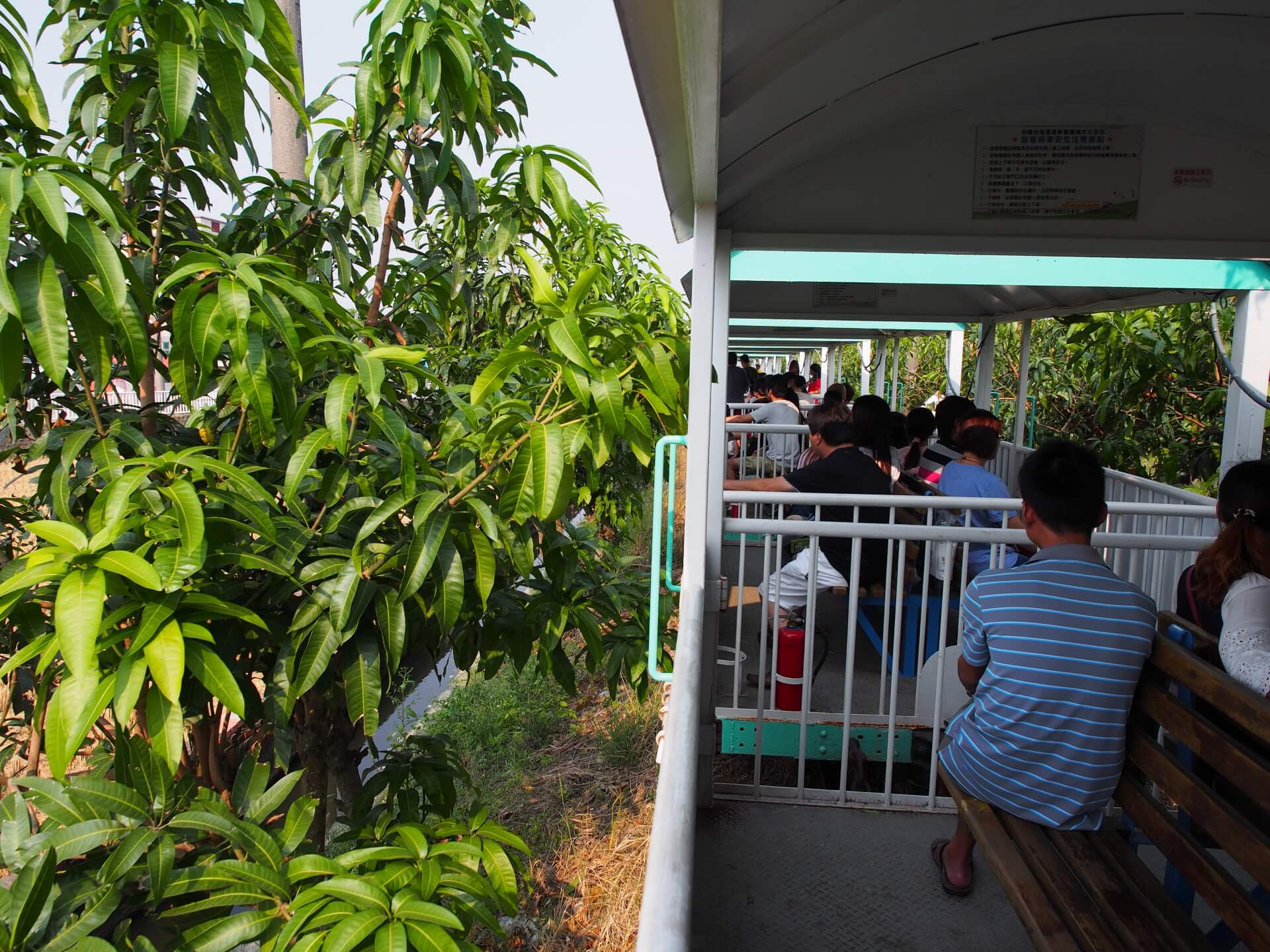 新營五分車沿路風景