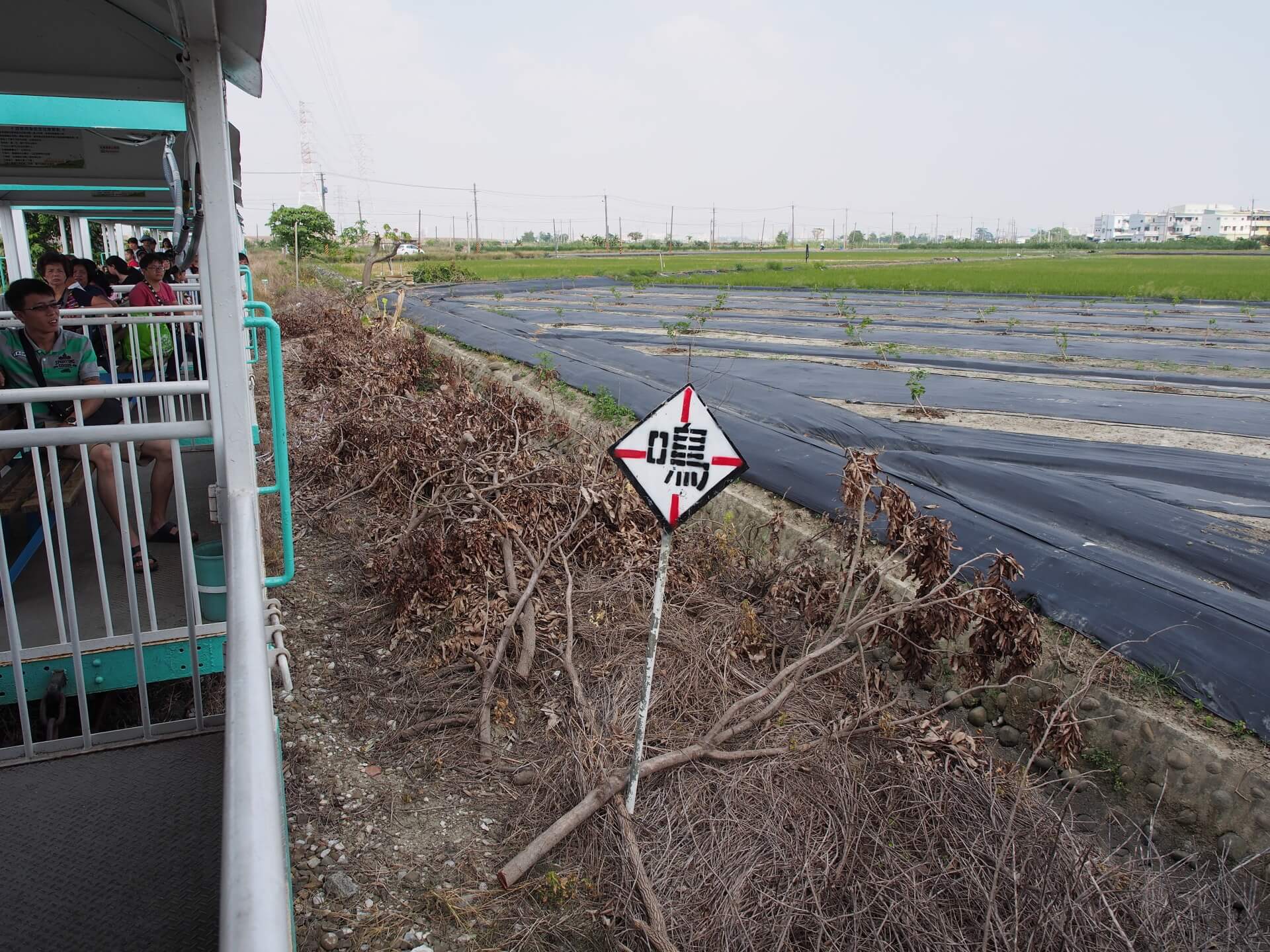 新營五分車沿路風景