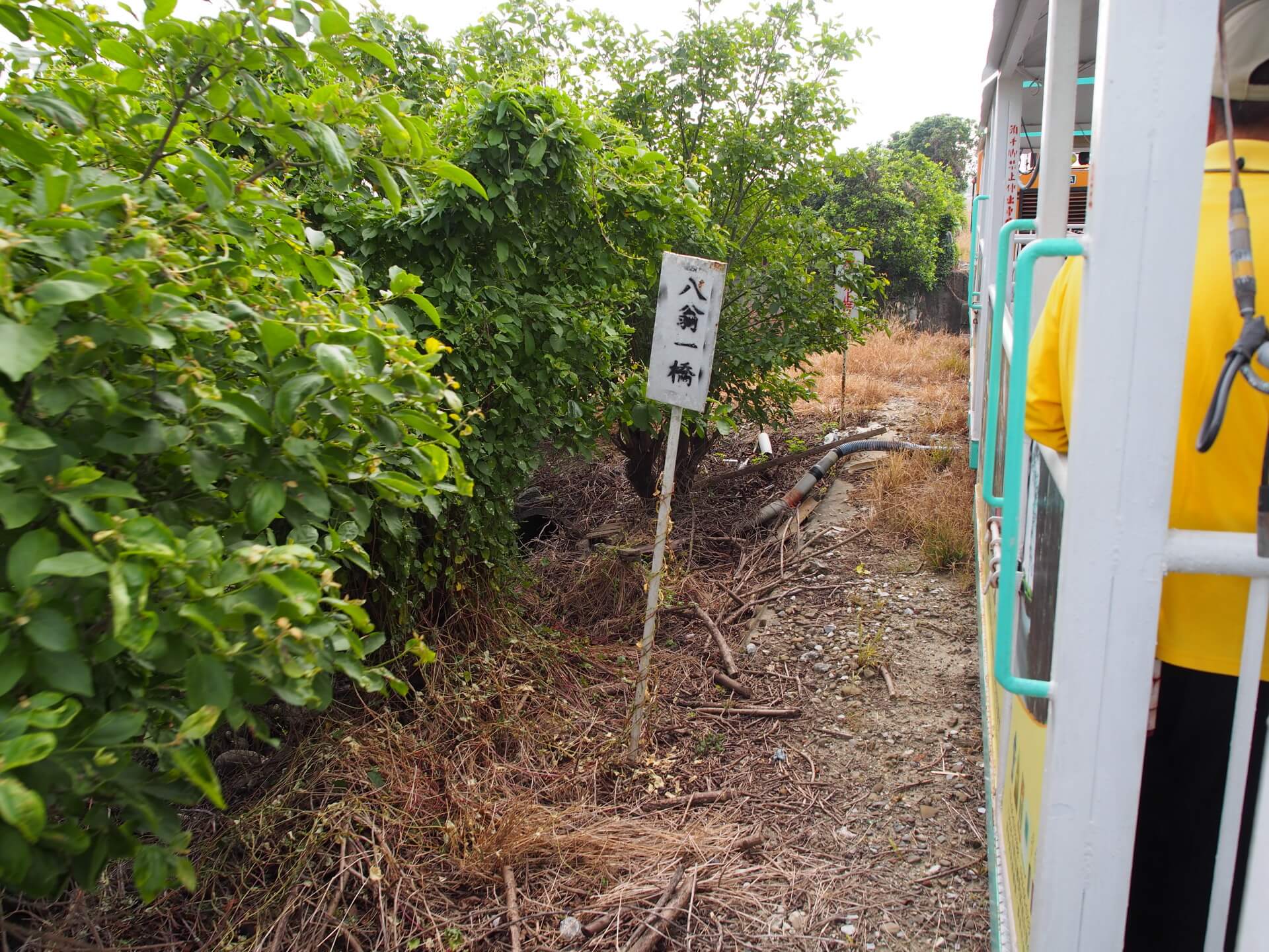 新營五分車沿路風景