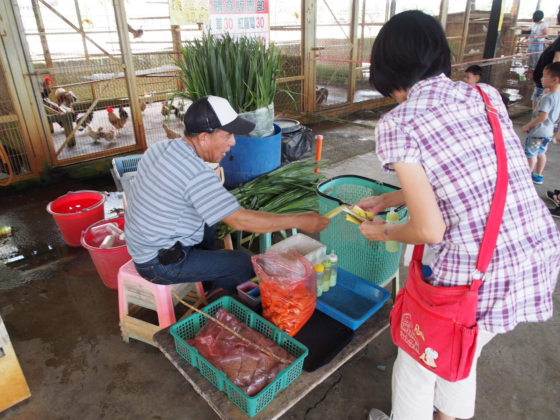 乳牛的家飼料區