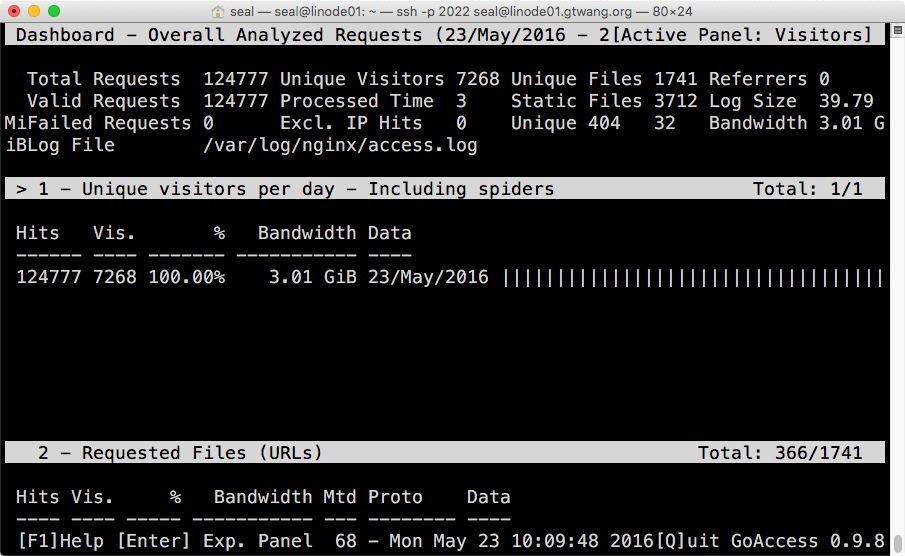 GoAccess 文字版無顏色報表