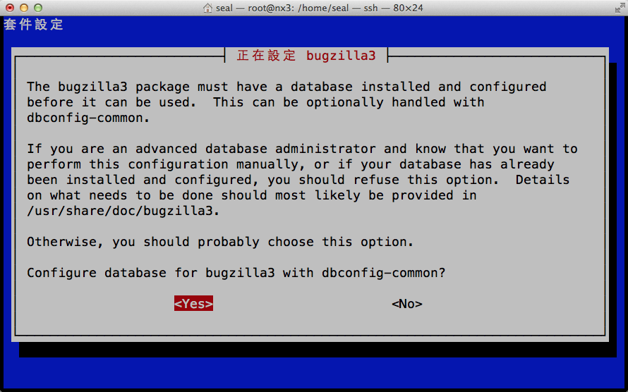 是否要自動進行資料庫設定