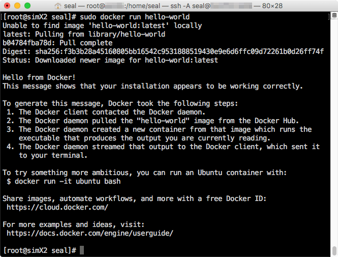Docker 的 Hello World 測試