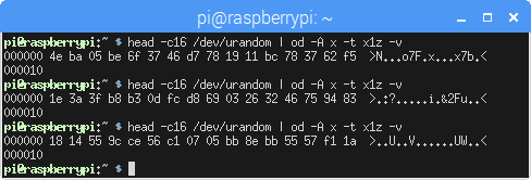 從 /dev/urandom 讀取資料