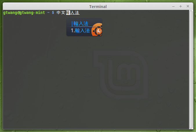 linux-mint-setup-chinese-10