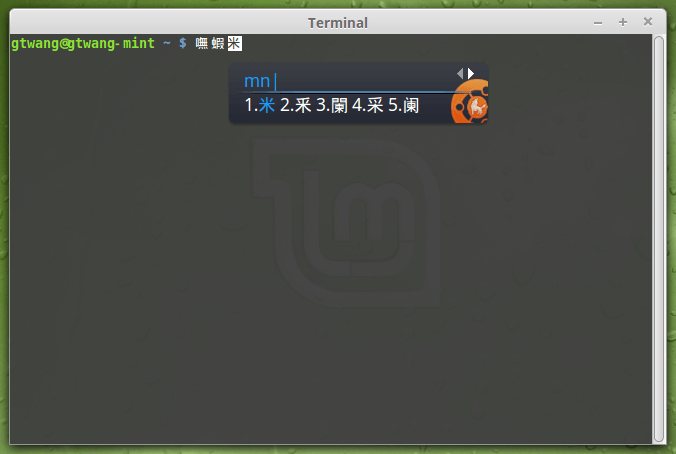 linux-mint-setup-chinese-12