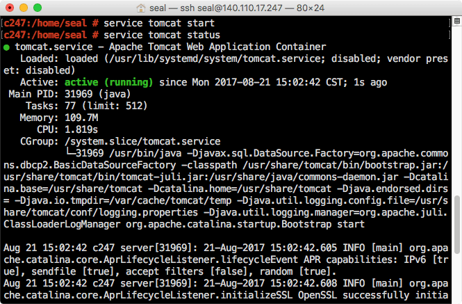 啟動 Tomcat 服務