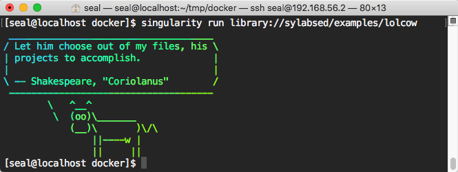 執行 Singularity 影像檔