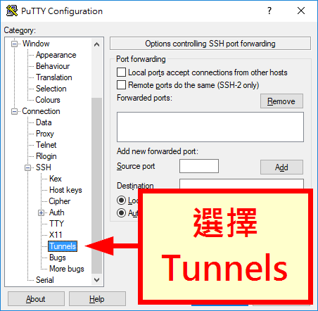 選擇「Tunnels」