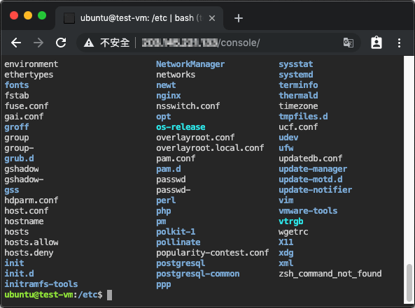 ttyd 整合 Nginx 網頁伺服器