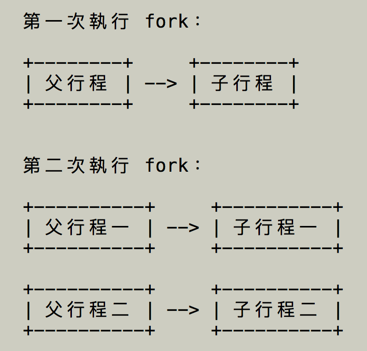 重複執行 fork