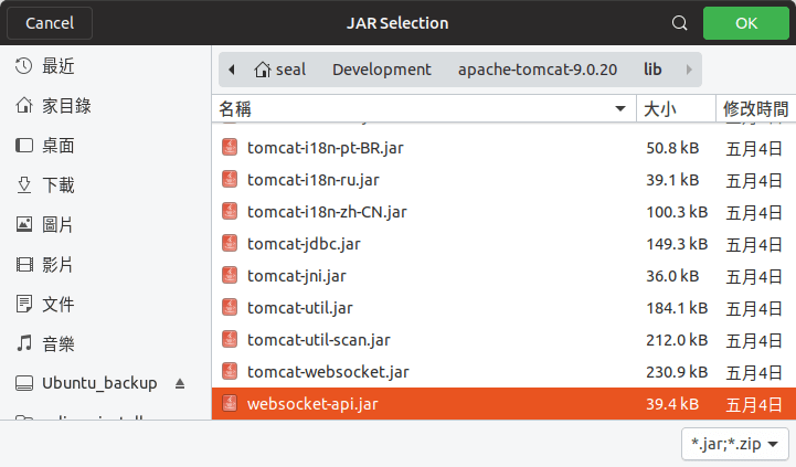 尋找 websocket-api.jar