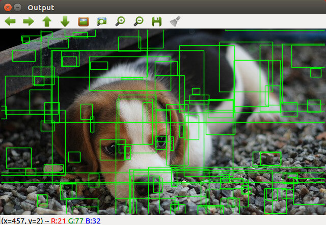 Selective Search 執行結果