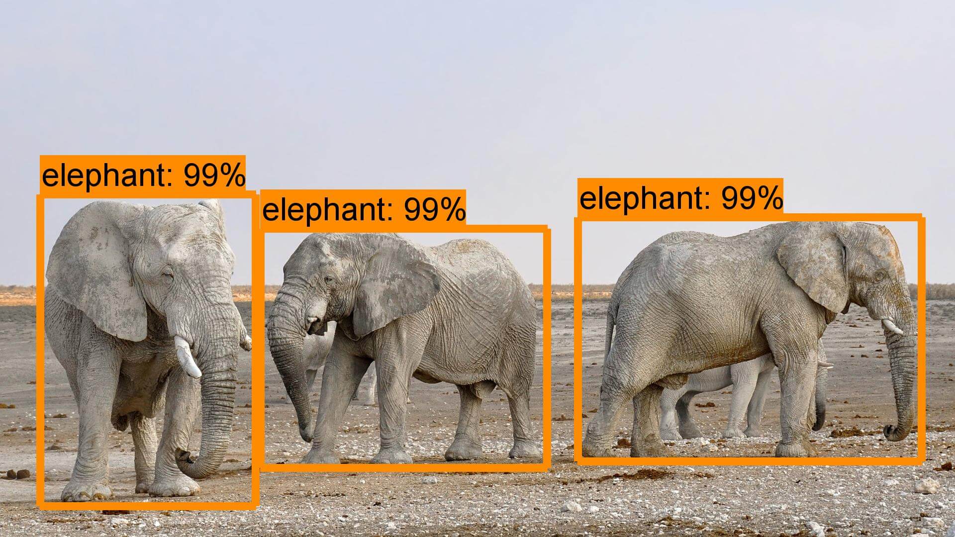 Faster RCNN + NAS 模型測試結果