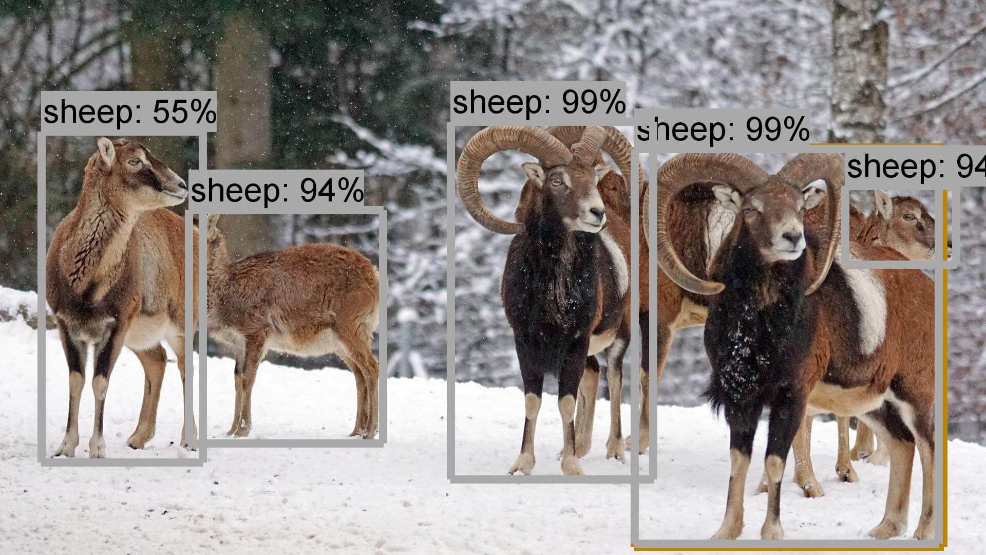 Faster RCNN + NAS 模型測試結果