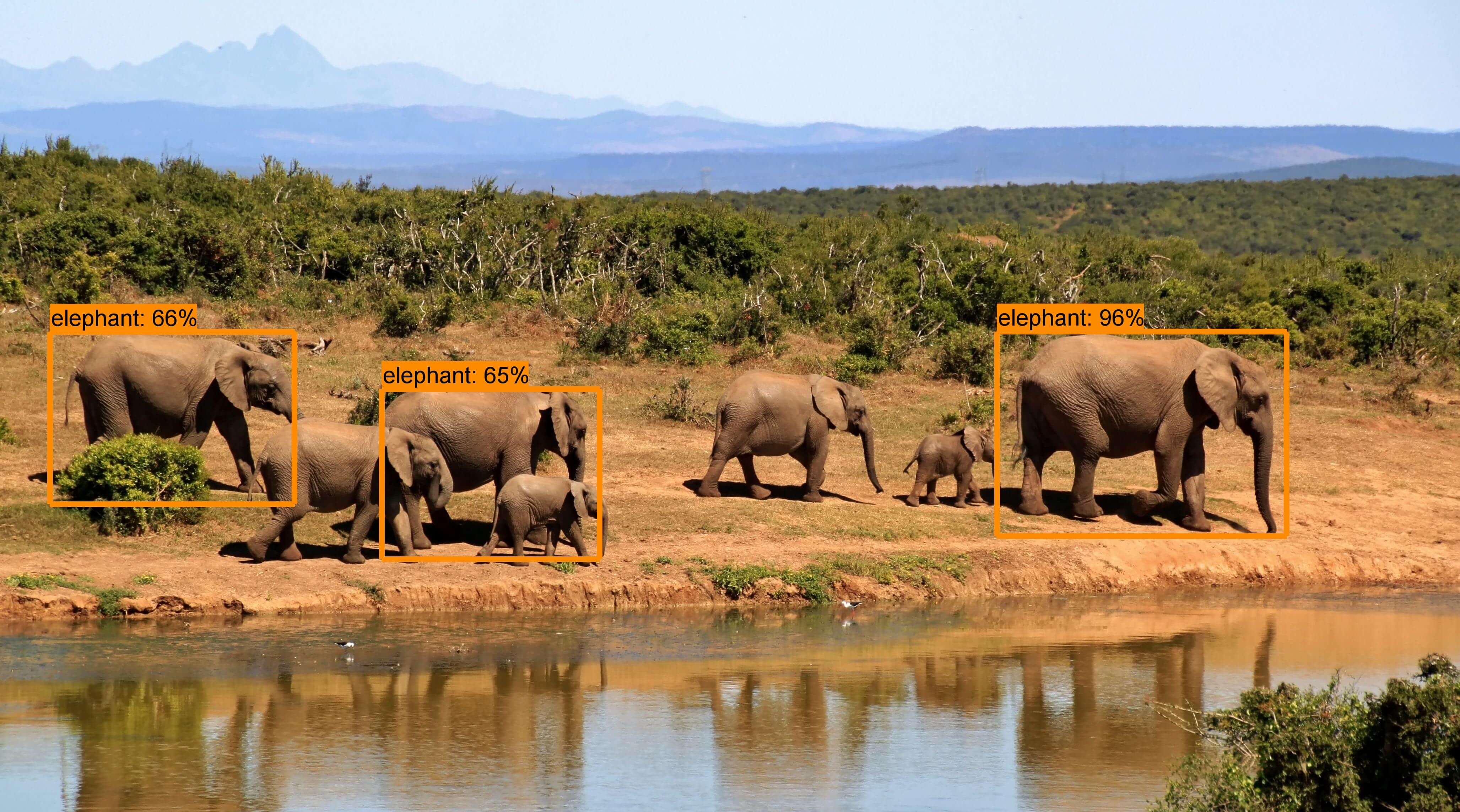 SSD + Mobilenet 模型測試結果