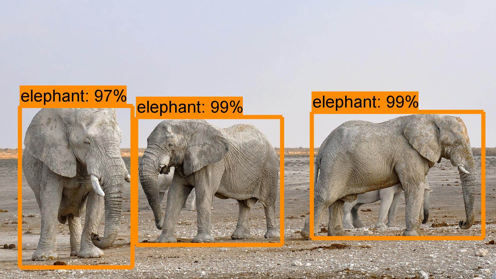 SSD + Mobilenet 模型測試結果