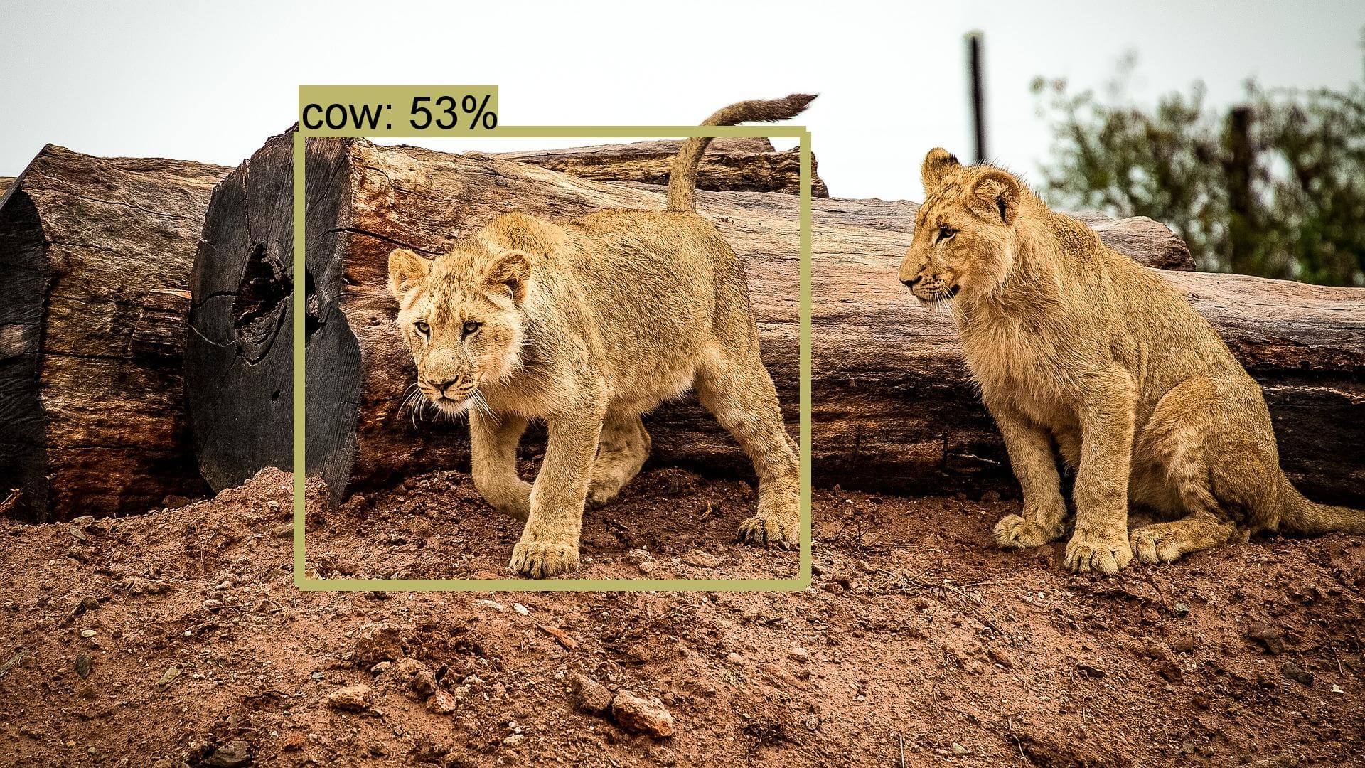 SSD + Mobilenet 模型測試結果