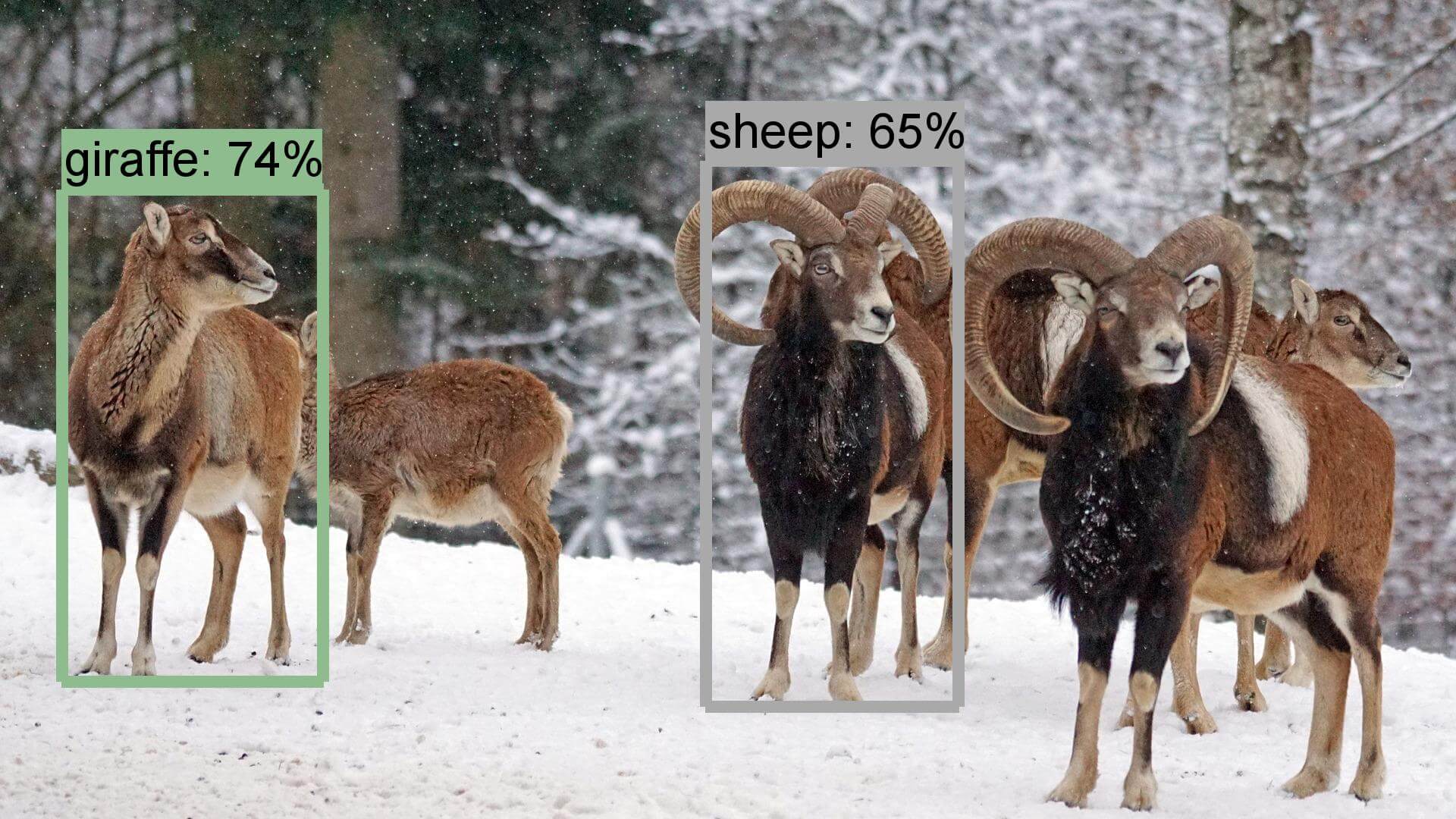 SSD + Mobilenet 模型測試結果