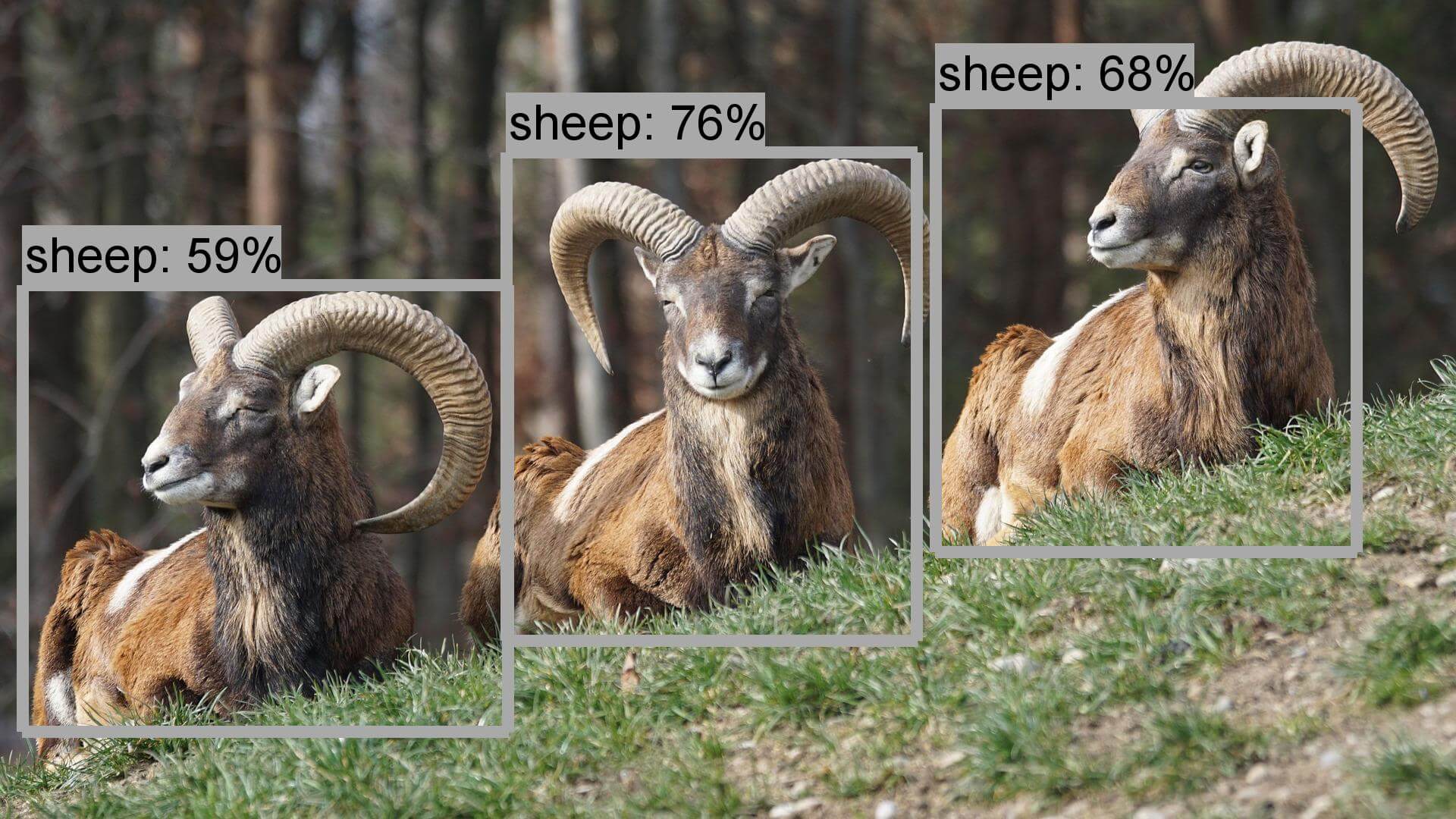 SSD + Mobilenet 模型測試結果