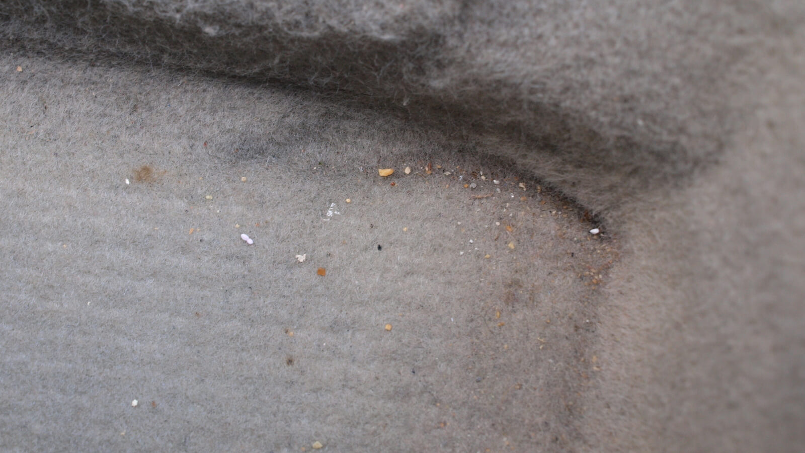 汽車內尚未清理的狀況