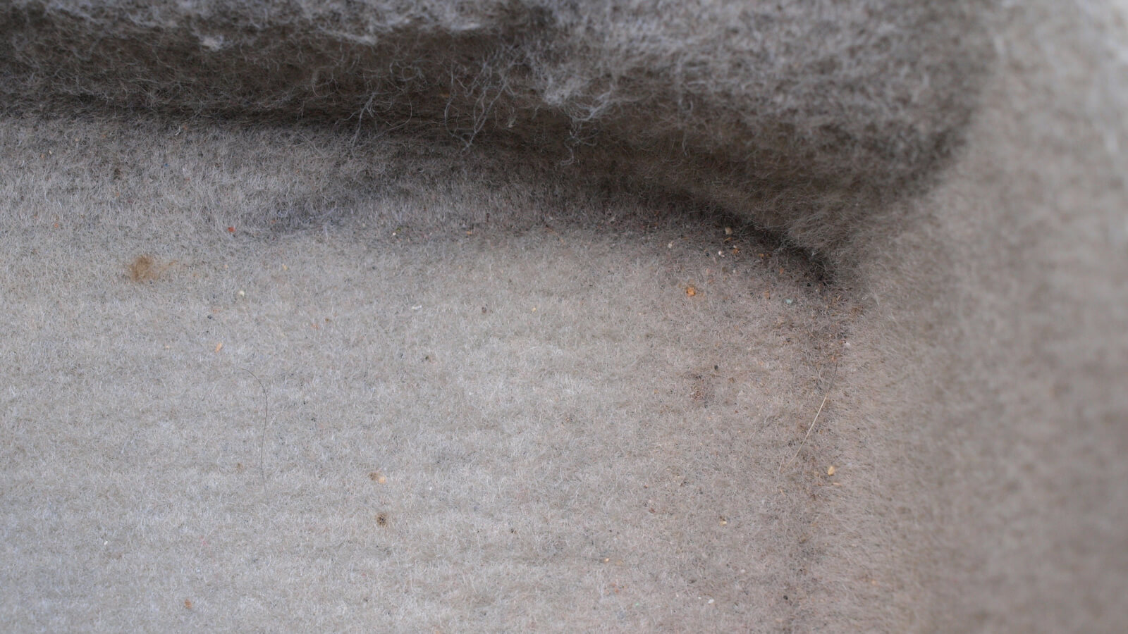 汽車內清理後的狀況