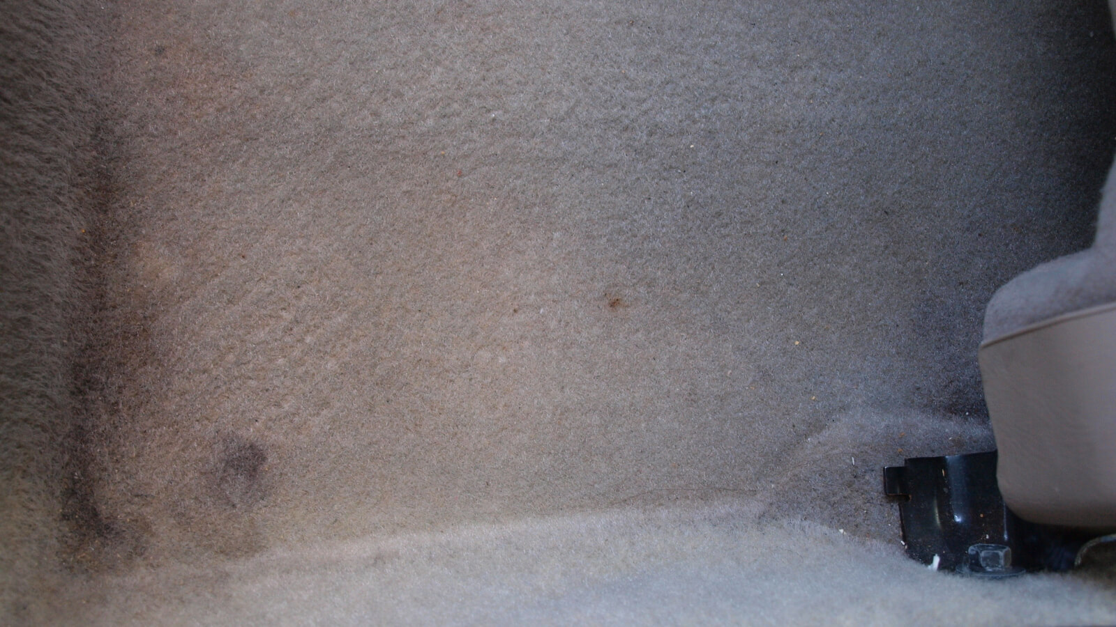 汽車內清理後的狀況