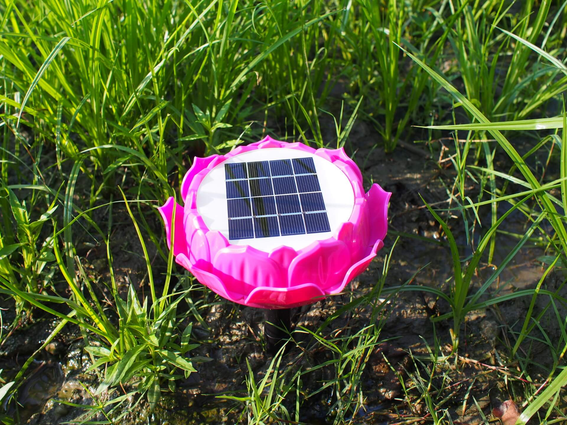 弘緣太陽能光明機