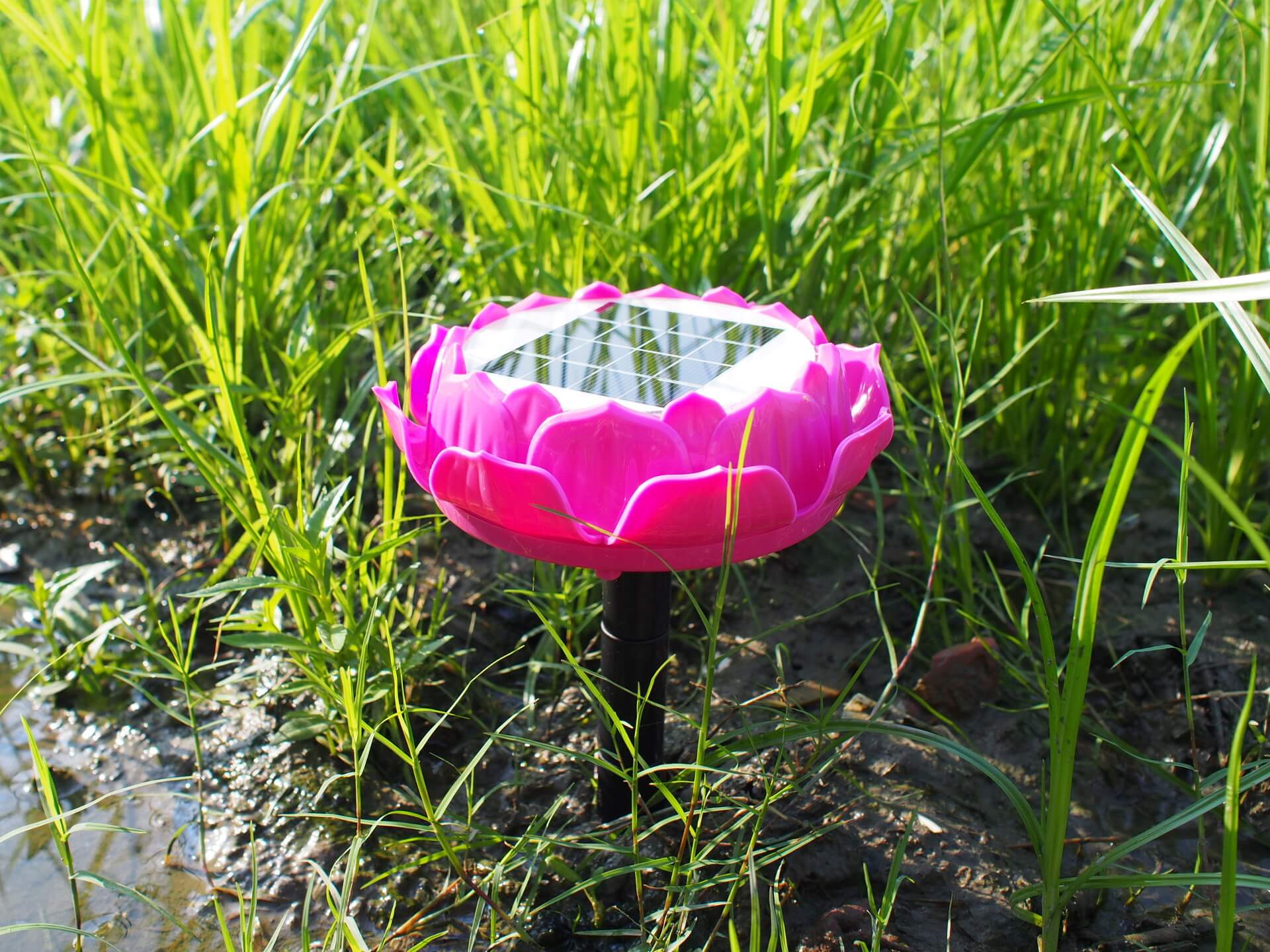 弘緣太陽能光明機