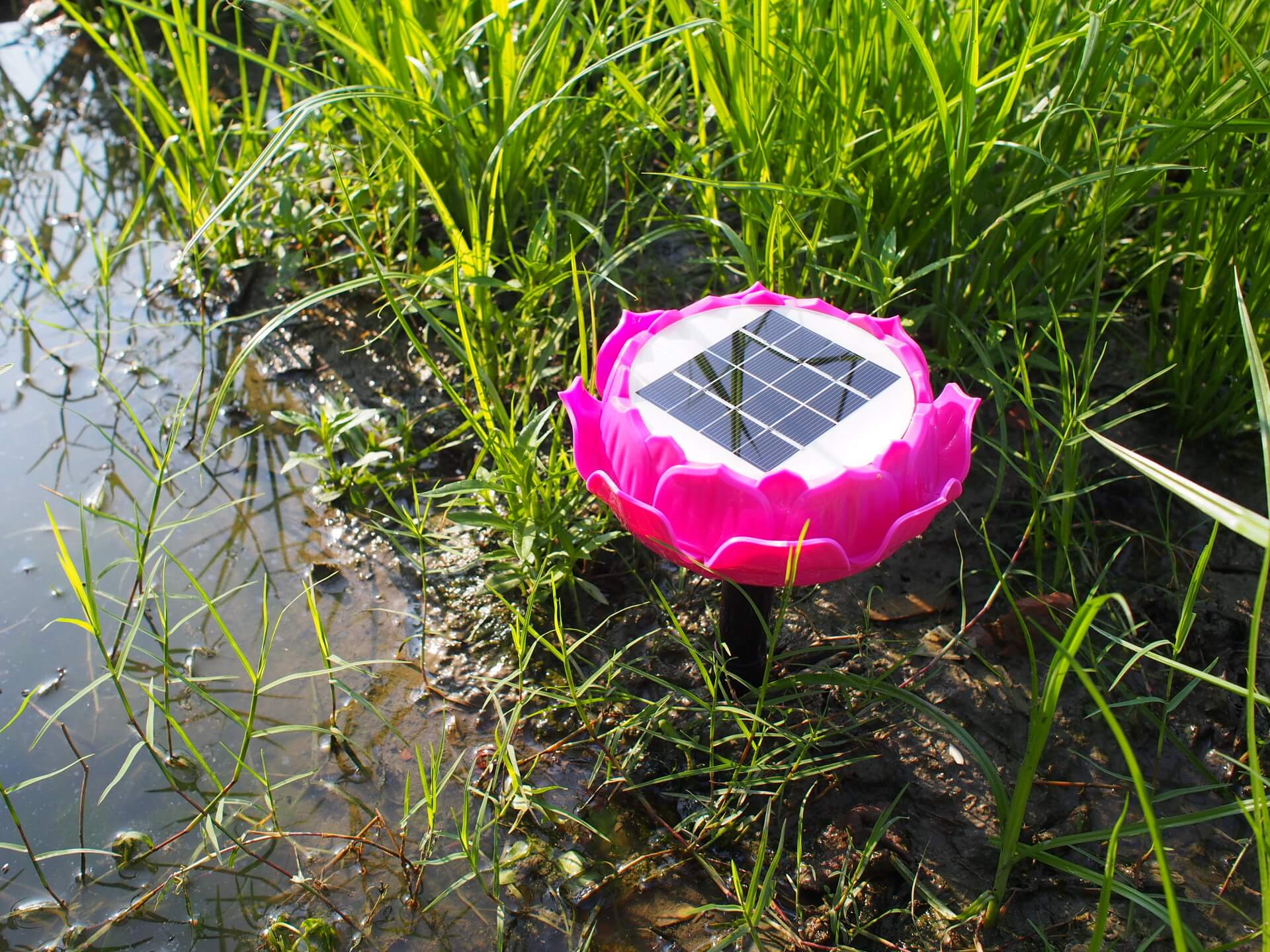 弘緣太陽能光明機